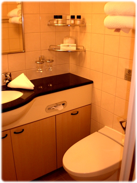 qm2-stateroom-bathroom3l.jpg